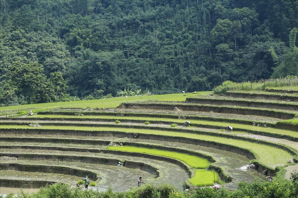 Mỗi người đảm nhận một công việc khác nhau