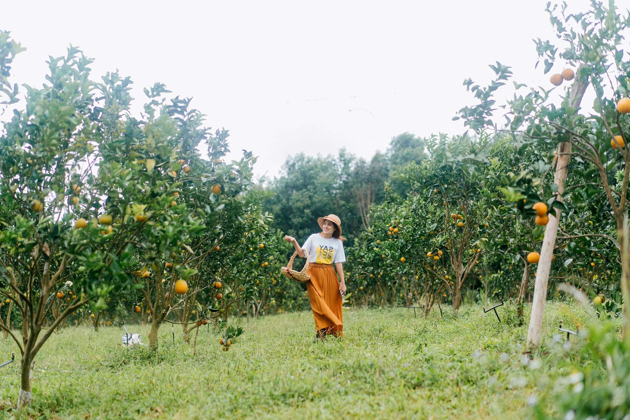 Du khách tham quan S’Lang Farm (thôn Hợp Thành, xã Sơn Lang, huyện Kbang). Ảnh: C.T.V