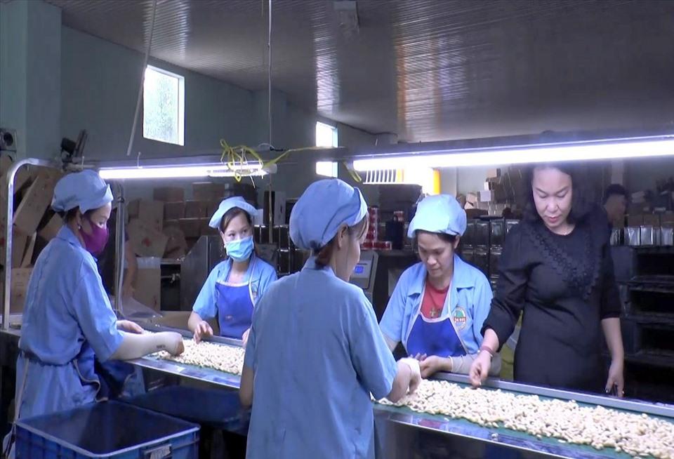 Doanh nghiệp ở Đắk Nông chế biến hạt điều xuất khẩu. Ảnh: Phan Tuấn