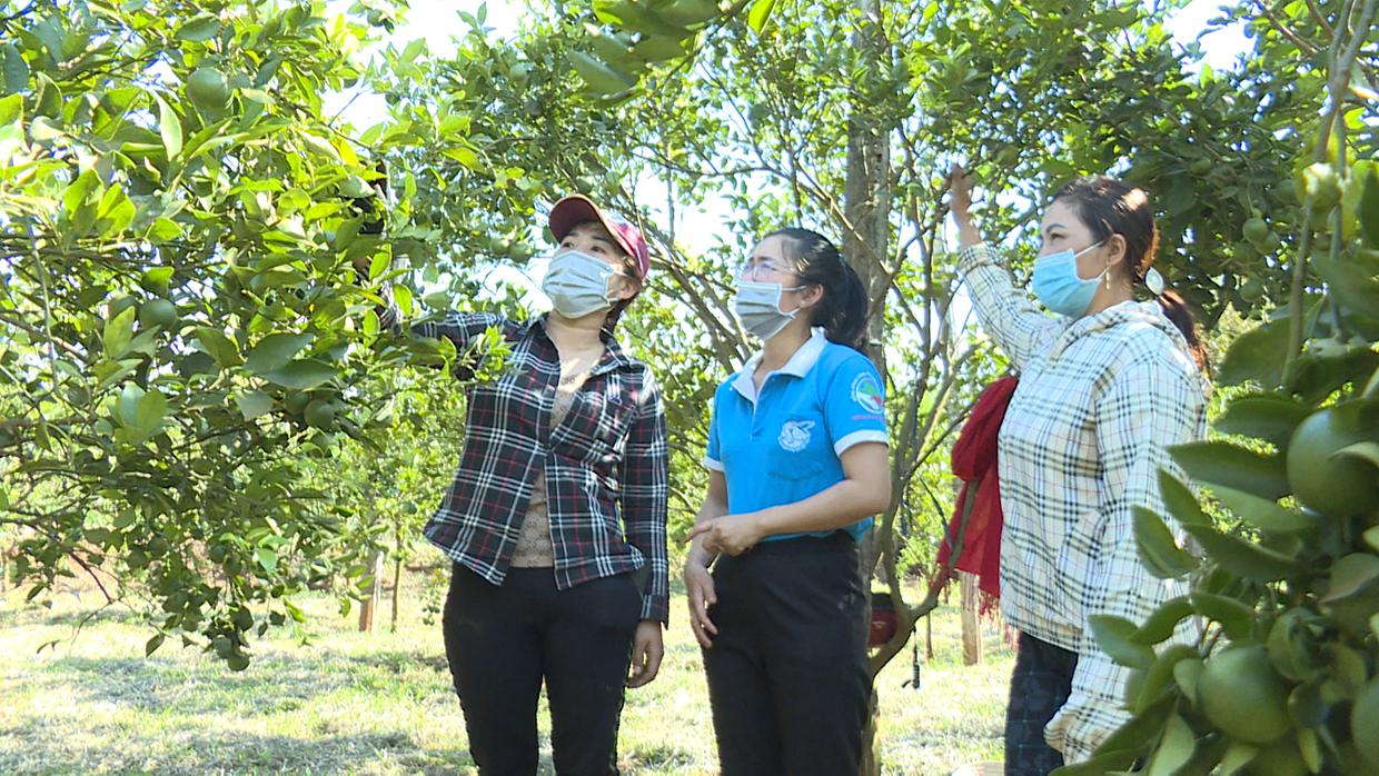 Chị Bùi Thị Thanh (bên trái; tổ 7, thị trấn Chư Ty) dẫn mọi người tham quan mô hình vườn rau xanh và cây ăn trái của gia đình. Ảnh: Nhật Hào