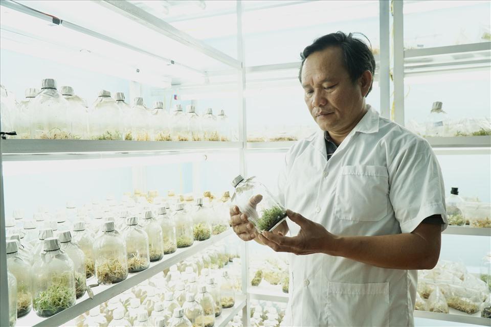 Hiện Lâm Đồng có khoảng 43 cơ sở nuôi cấy mô thực vật, tạo ra nguồn cây giống tốt, khoẻ, sạch bệnh.