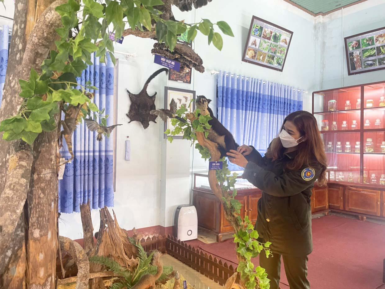 Chị Đinh Ngơi-Phó Giám đốc phụ trách Trung tâm Giáo dục môi trường và Dịch vụ môi trường kiểm tra những mẫu vật trong nhà lưu trữ của Khu BTTN. Ảnh: Lê Nam