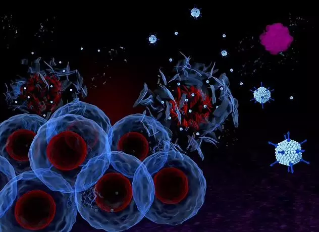 Ảnh đồ họa mô tả cách virus được sửa đổi lây nhiễm vào tế bào ung thư, nhân lên bên trong tế bào rồi làm
