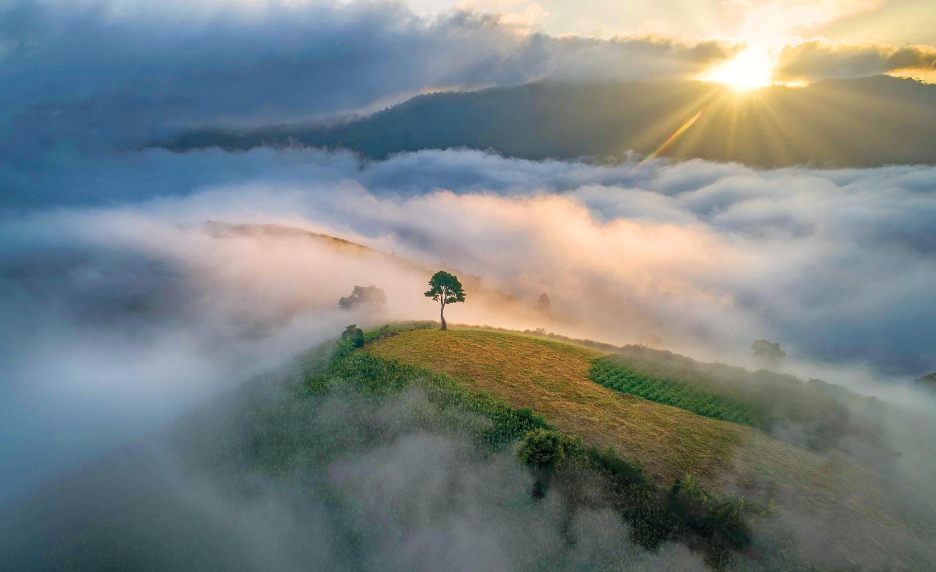 Bình minh trên đỉnh Chư Đang Ya. Ảnh: Phan Nguyên