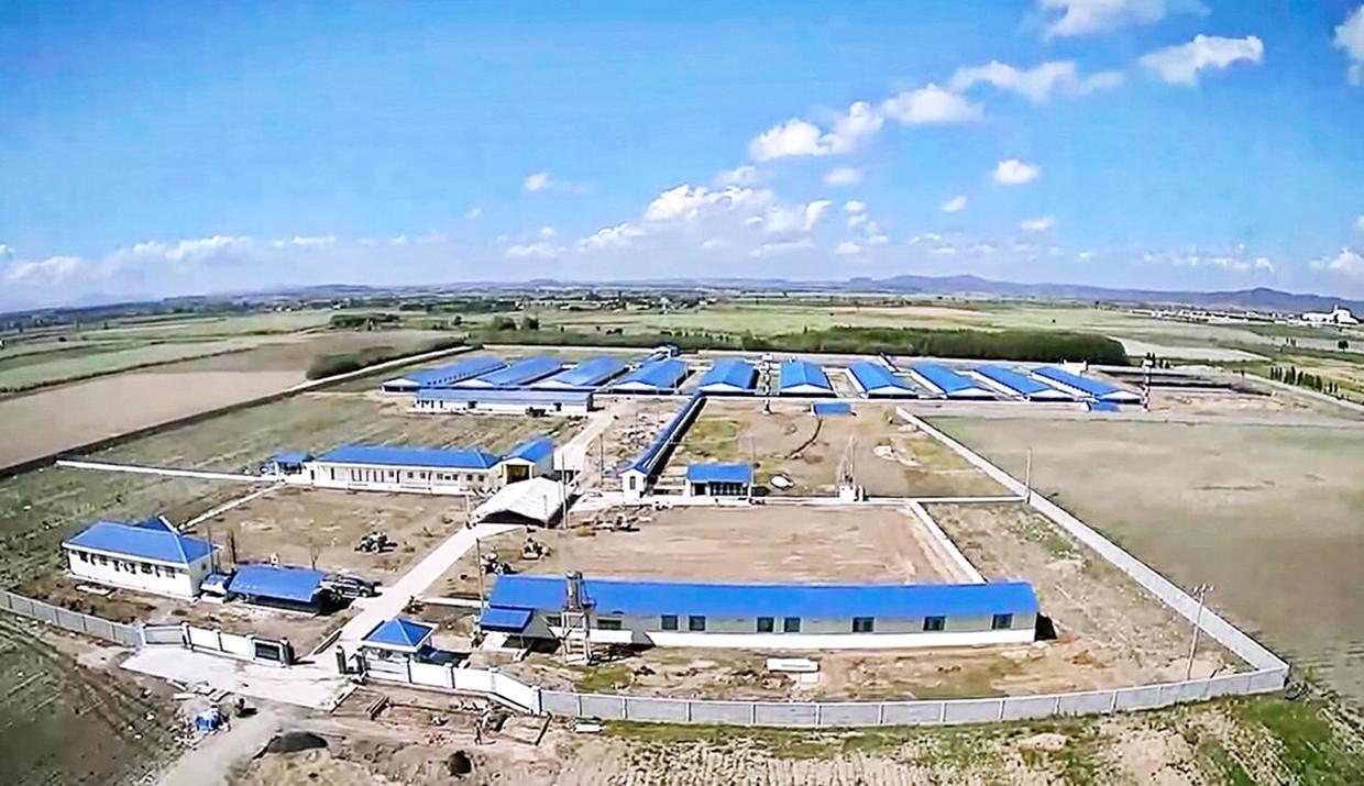 2 Trang trại chăn nuôi heo công nghệ cao của Công ty cổ phần nông nghiệp Navifarm tại xã Pờ Tó (huyện Ia Pa) có quy mô 14,75 ha. Ảnh: Minh Nguyễn