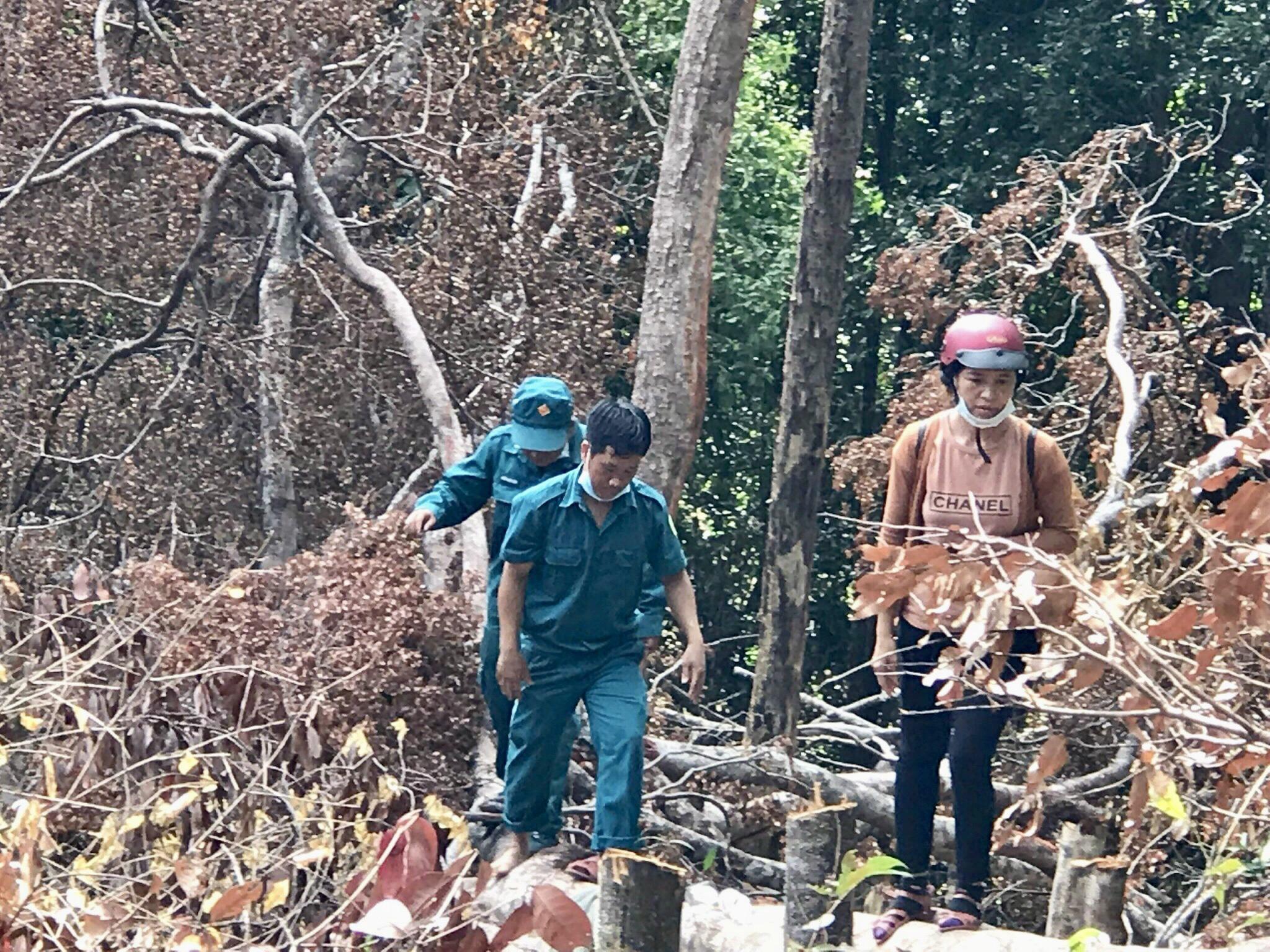 Lực lượng chức năng huyện Ia Grai kiểm tra hiện trường vụ phá rừng tại xã Ia Bă. Ảnh: Lê Nam