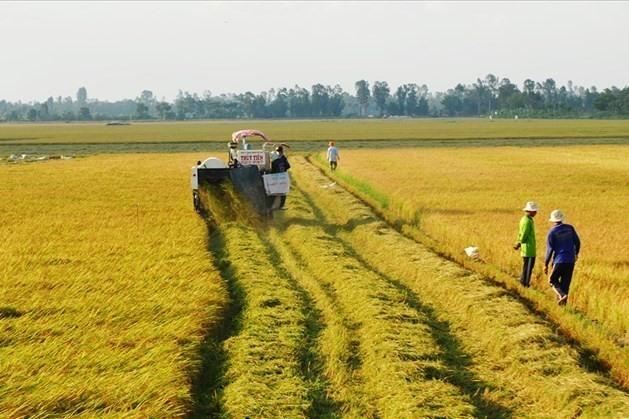 Giá đền bù đất nông nghiệp khi bị Nhà nước thu hồi sẽ do Ủy ban nhân dân cấp tỉnh tính toán và quy định. Ảnh: LDO