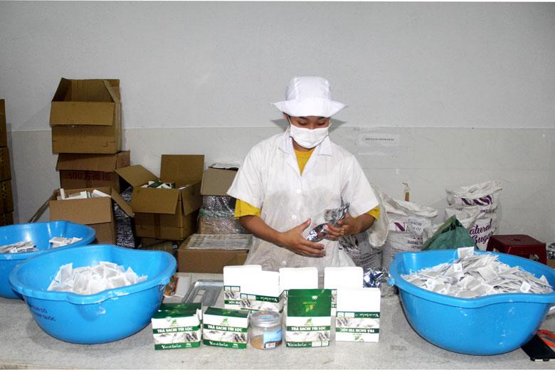 Cơ sở sản xuất, chế biến sản phẩm sachi tại Lâm Hà