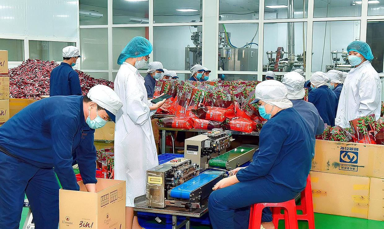 Đóng gói sản phẩm cà phê Lamant tại Công ty TNHH Vĩnh Hiệp (TP. Pleiku). Ảnh: Đức Thụy