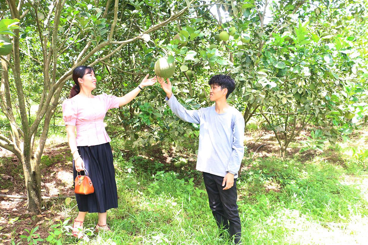 Vườn cây ăn quả với diện tích 5 ha của gia đình chị Phạm Thị Mừng Đặng cho thu nhập cao mỗi năm
