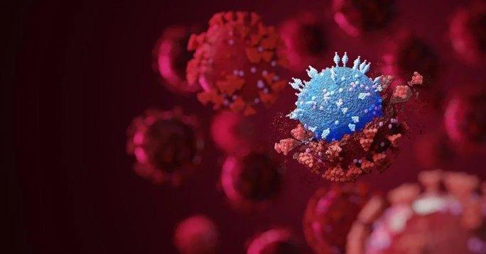 Virus SARS-CoV-2 - Ảnh: NEWS-MEDICAL