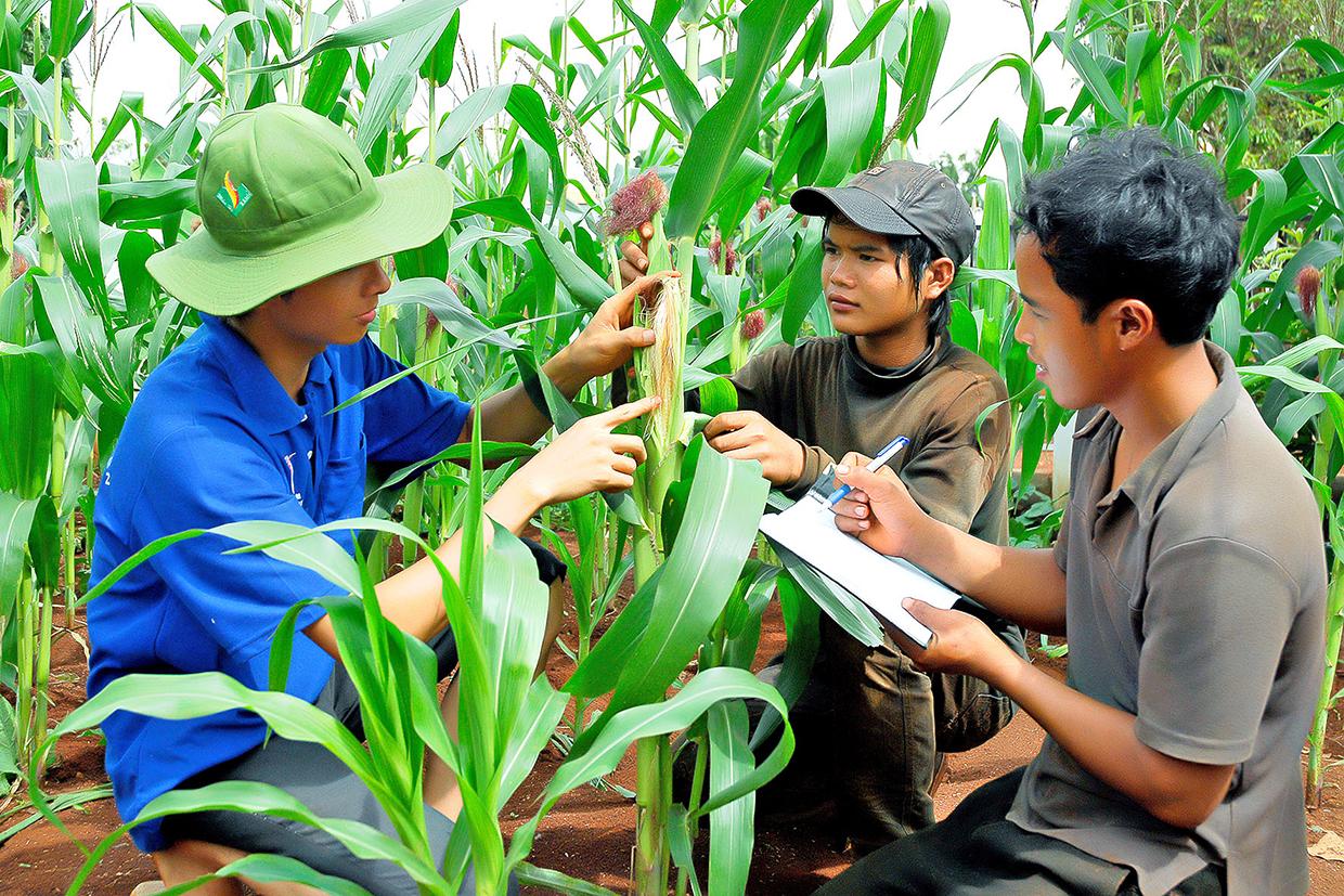 Gia Lai tăng cường công tác truyền thông về Chương trình MTQG phát triển kinh tế-xã hội vùng đồng bào dân tộc thiểu số và miền núi. Ảnh: Đức Thụy