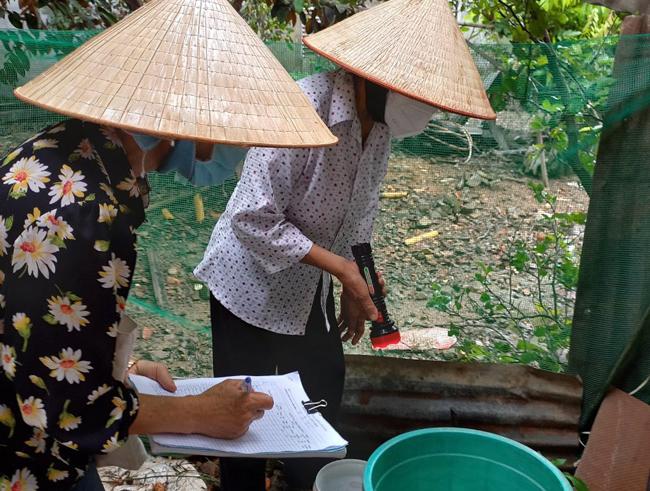 Kiểm tra lăng quăng để chủ động phòng chống sốt xuất huyết