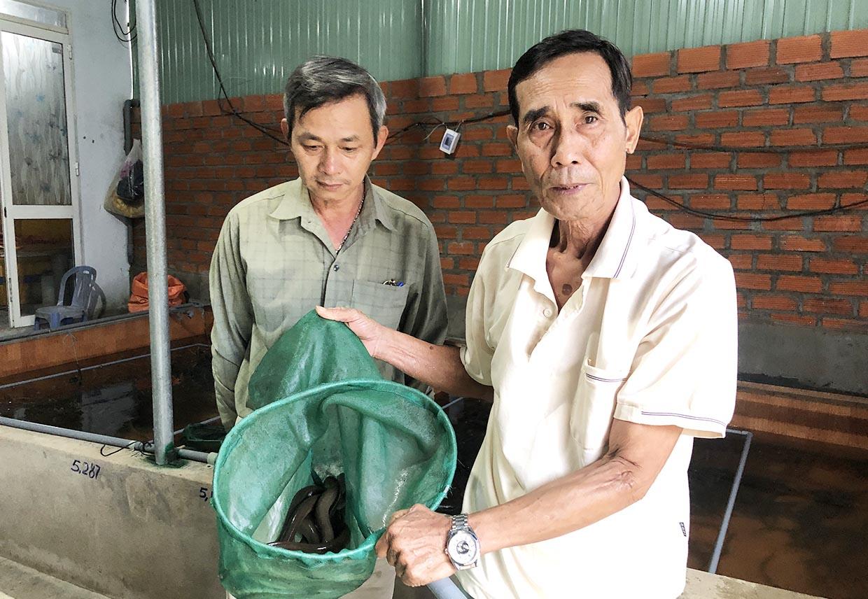 Mô hình nuôi lươn không bùn mang lại thu nhập cho gia đình ông Nguyễn Văn Châu  hơn 250 triệu đồng/năm. Ảnh: Ngọc Minh