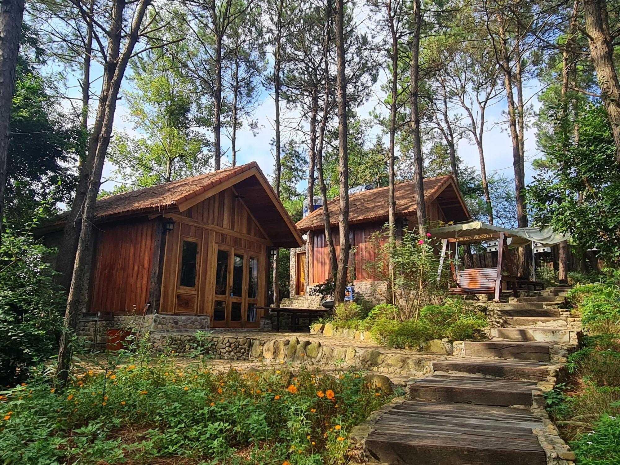 TP. Lạng Sơn: Ngang nhiên “xẻ thịt” đất rừng, xây dựng trái phép trên quy mô lớn! tp lang son ngang nhien xe thit dat rung xay dung trai phep tren quy mo lon hinh 3