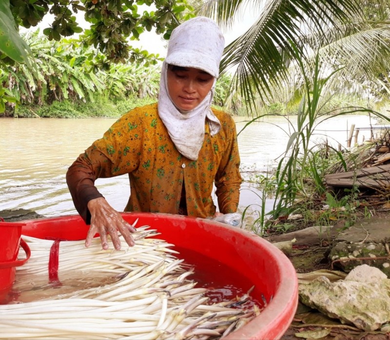 Những tấm gương phụ nữ dân tộc thiểu số làm kinh tế giỏi