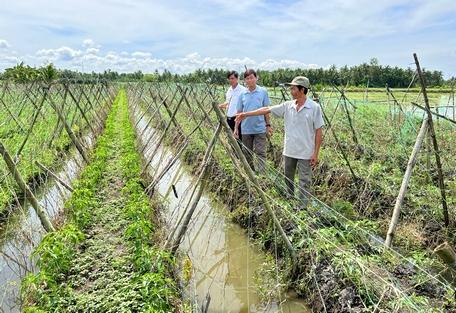 Trong sản xuất, người nông dân đã sẵn sàng “chọn khó” để chủ động đầu ra, giá bán.