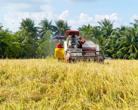 Giá lúa cao, năng suất tốt, nông dân phấn khởi vì vụ lúa thắng lợi.