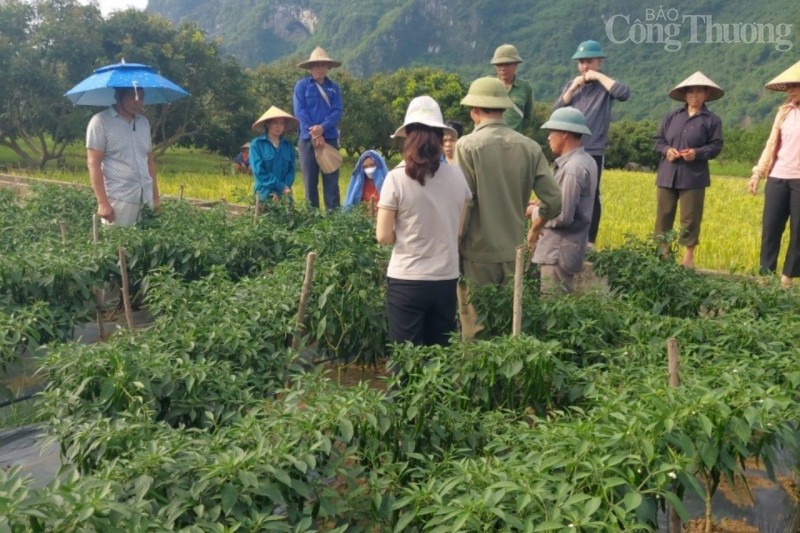 Hòa Bình: Mô hình khởi nghiệp, tạo việc làm cho đồng bào dân tộc thiểu số