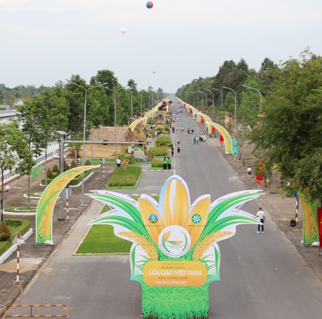 Con đường lúa gạo có chiều dài 1,3km.