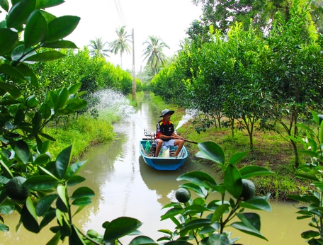 Nhiều địa phương có sự chuyển đổi phù hợp với định hướng cơ cấu lại ngành nông nghiệp