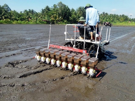 Ứng dụng máy sạ lúa giúp tiết kiệm được lượng nước tưới, tiết kiệm lượng giống, giảm lượng thuốc bảo vệ thực vật.