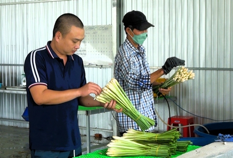 Anh Nguyễn Hoài An (bên trái) ước mơ đổi đời trên chính quê hương của mình và đã chọn gắn bó