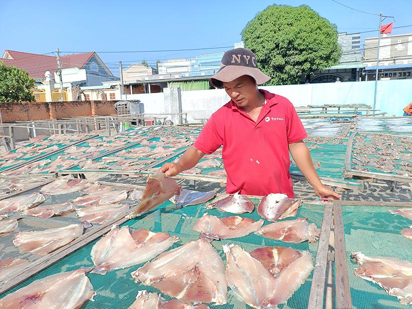 Phơi cá thiều làm hàng khô phục vụ thị trường Tết ở cơ sở của bà Nguyễn Thị Bích Vân (KP Phước Điền, TT. Phước Hải, huyện Đất Đỏ).