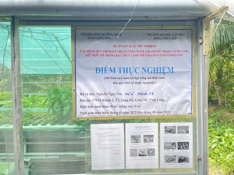 Mô hình nuôi lươn kết hợp trồng rau thủy canh đem lại nhiều lợi ích, có thể sản xuất cùng lúc 2 sản phẩm nông nghiệp.