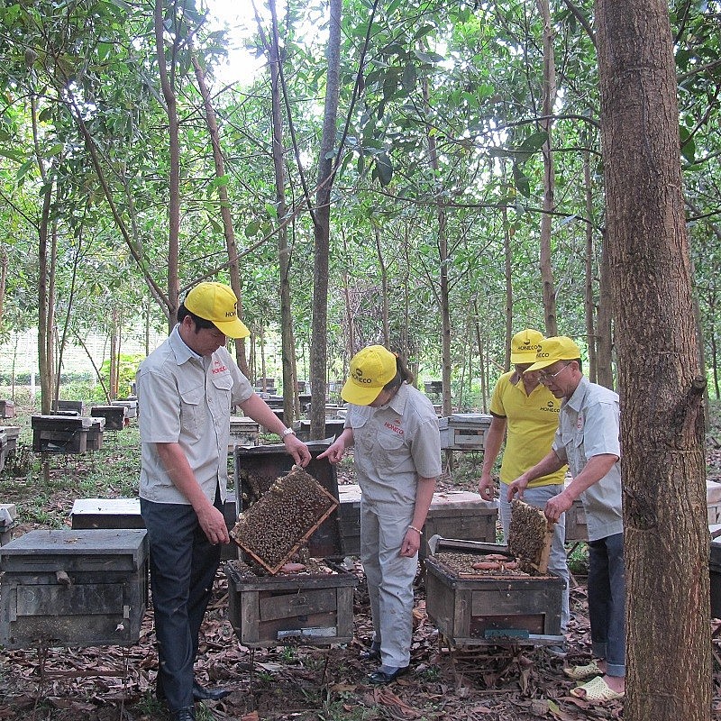 Trang trại mật ong keo Honeco