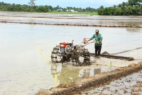 Nông dân tất bật gieo sạ vụ Hè Thu muộn.