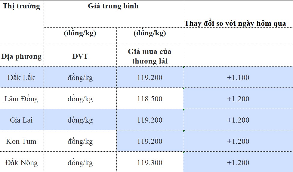 Giá cà phê hôm nay 22/8/2024: