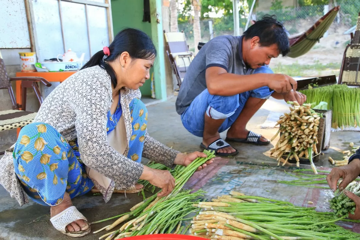 Ninh Thuận chú trọng phát triển nông nghiệp bền vững