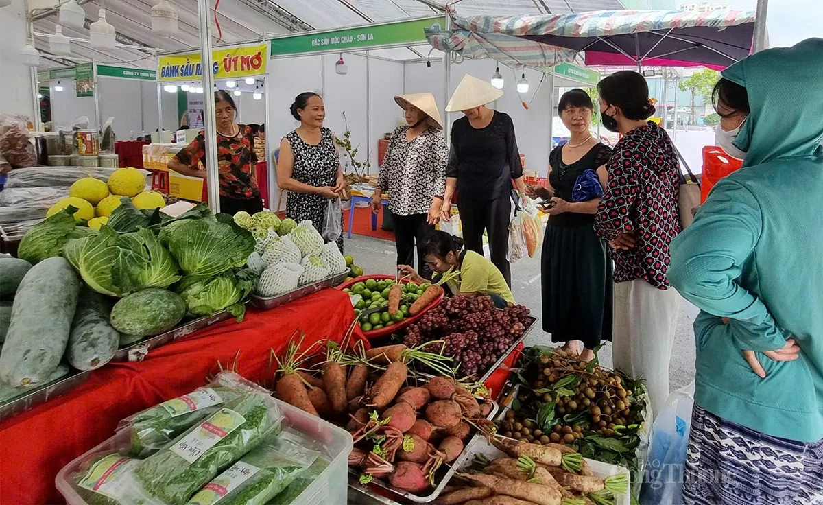 Hà Nội: Kết nối đưa nông sản hàng hóa về với người tiêu dùng Thủ đô