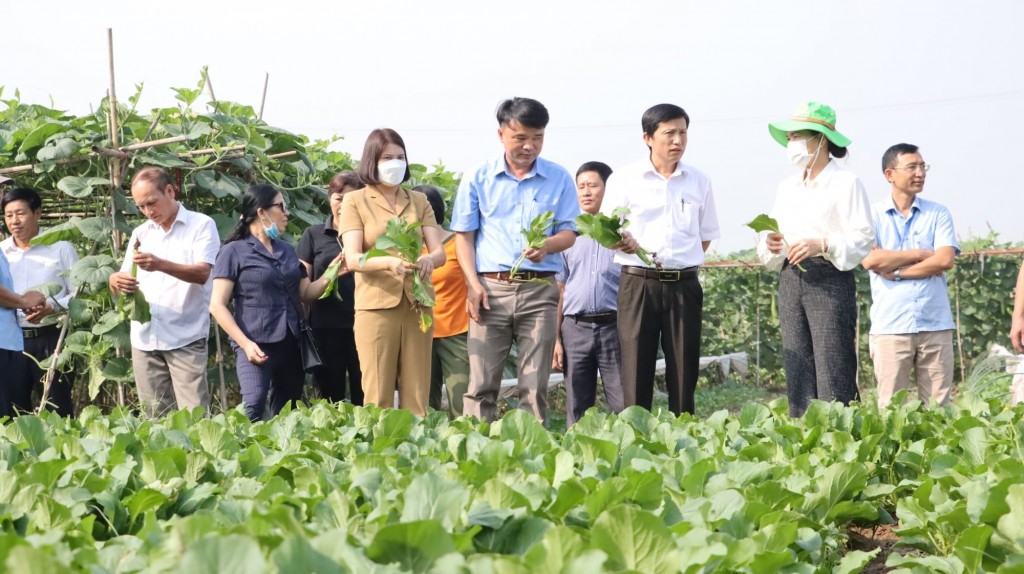 Đưa chuyển đổi số, khoa học công nghệ vào sản xuất nông nghiệp