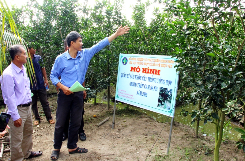 Áp dụng quản lý sức khỏe cây trồng tổng hợp (IPHM) đem lại nhiều lợi ích thiết thực.