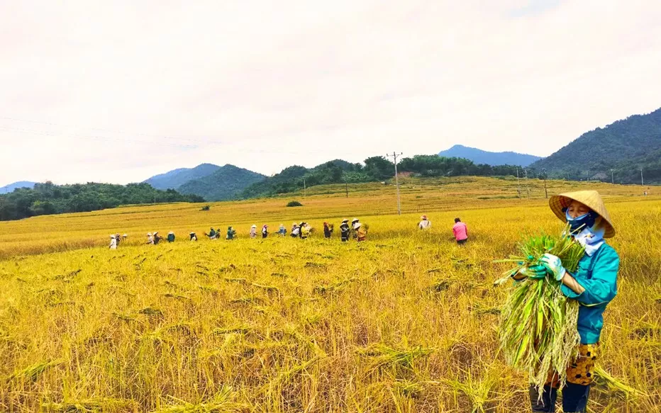 Nhận diện các thương hiệu OCOP tại Thanh Hóa: Bài 1- OCOP, làn gió mới trong phát triển kinh tế nông thôn