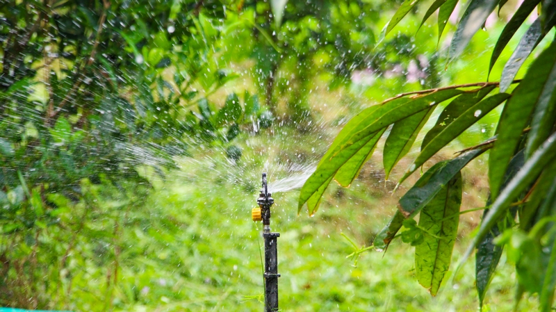 Hệ thống tưới thông minh giúp tiết kiệm nước, giảm chi phí nhân công lao động, giúp tăng hiệu quả sản xuất.