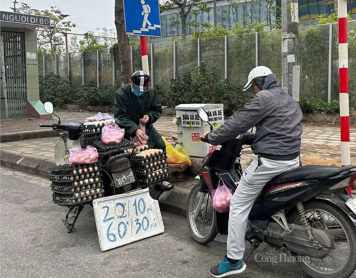 Giá trứng gà giảm mạnh, đến hẹn lại lên