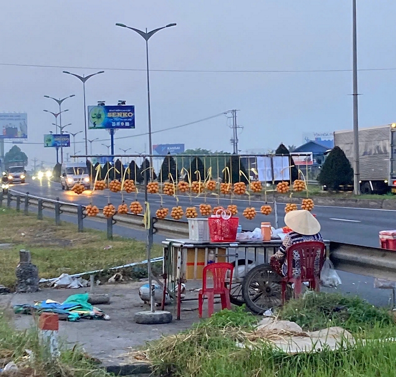 Thanh trà bày bán dọc theo đường dẫn cầu Cần Thơ. Ảnh: BÙI THANH HỒNG