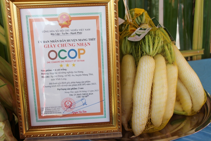 Củ cải trắng là một trong những loại màu chủ lực của xã Mỹ An và đã đạt chứng nhận OCOP 3 sao.