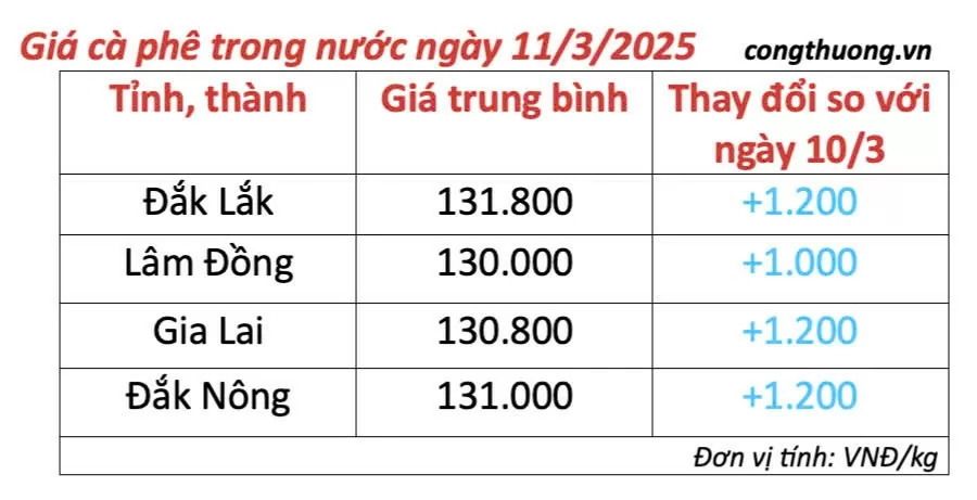 Giá cà phê hôm nay 11/3/2025 trong nước tăng trở lại