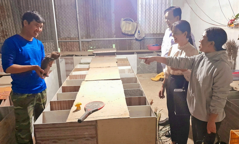 Phong trào thi đua ngày càng giúp hội viên nông dân xây dựng nhiều mô hình kinh tế hiệu quả. Trong ảnh: Mô hình nuôi dúi của hội viên nông dân huyện Long Hồ.