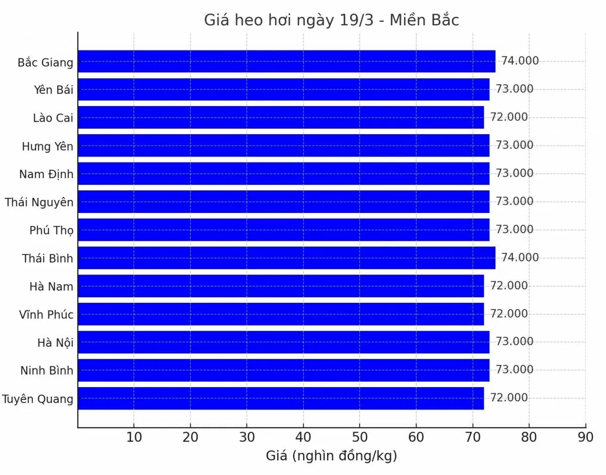 Biểu đồ giá heo hơi tại các tỉnh miền Bắc ngày 19/3.