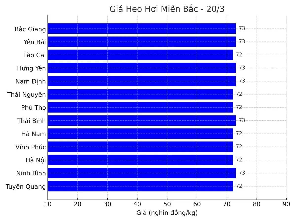 Biểu đồ giá heo hơi tại các tỉnh miền Bắc ngày 20/3.