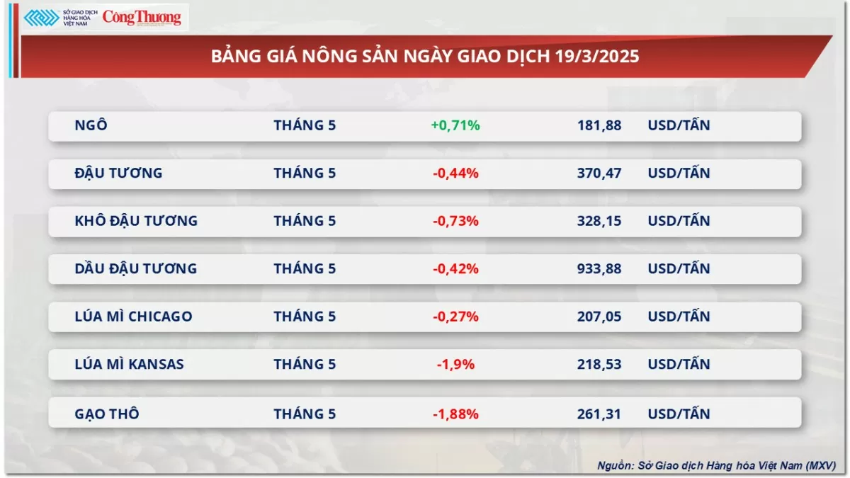 Giá cà phê Robusta tăng lên mức 5.527 USD/tấn