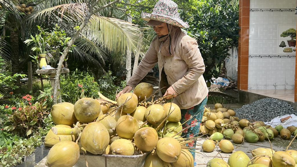 Nhiệt độ thời tiết tăng cao khiến nhu cầu tiêu dùng các loại thực phẩm giải nhiệt tăng theo.