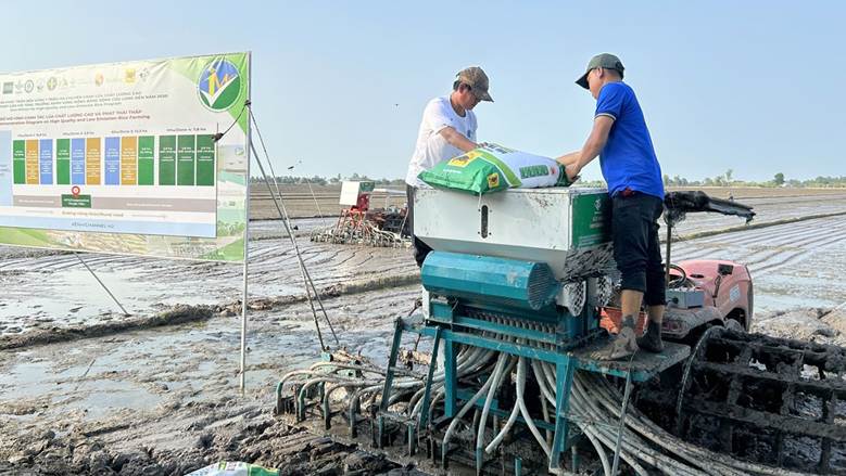 Triển khai đề án 1 triệu hecta ở vùng ĐBSCL