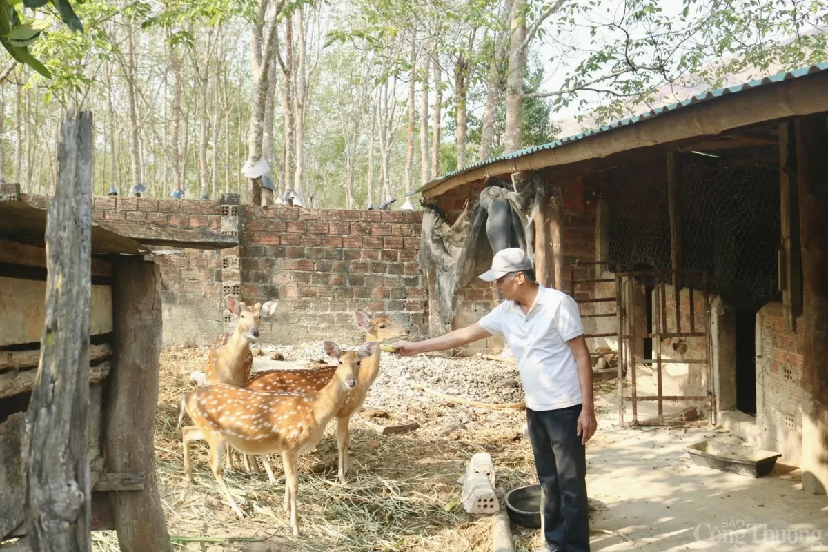 Người cao tuổi Kon Tum góp sức dựng xây nông thôn mới