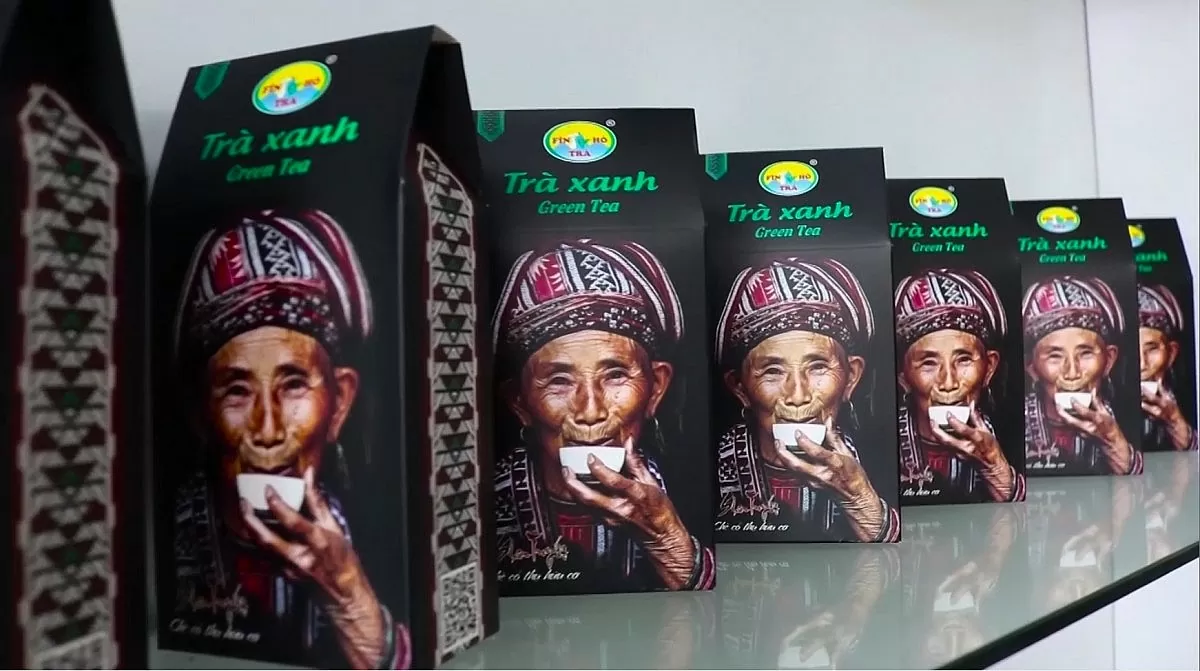 Chè Shan tuyết Hà Giang: ‘Mạch nguồn xanh’ giúp đồng bào Dao thoát nghèo Chè Shan tuyết Hà Giang: ‘Mạch nguồn xanh’ giúp đồng bào Dao thoát nghèo